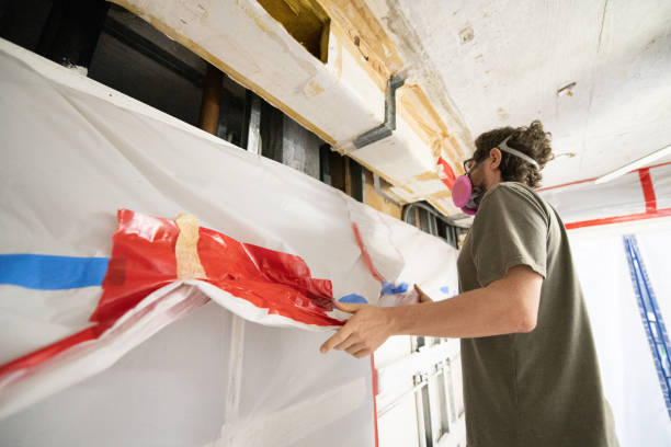 Best Asbestos and Lead Testing During Mold Inspection  in Munday, TX